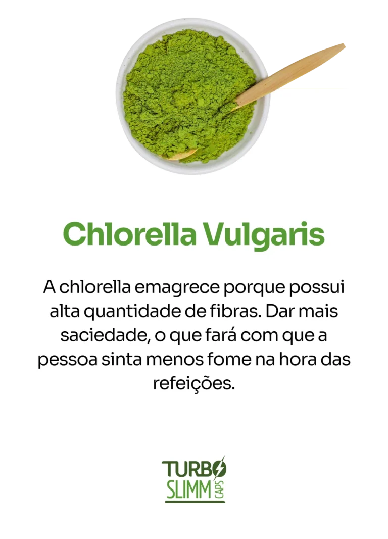 Chlorella-2.webp