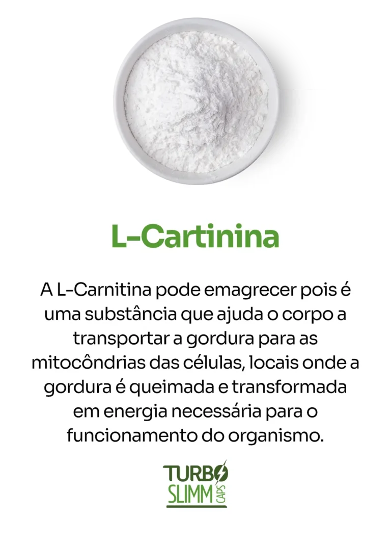 L-Cartinina.webp