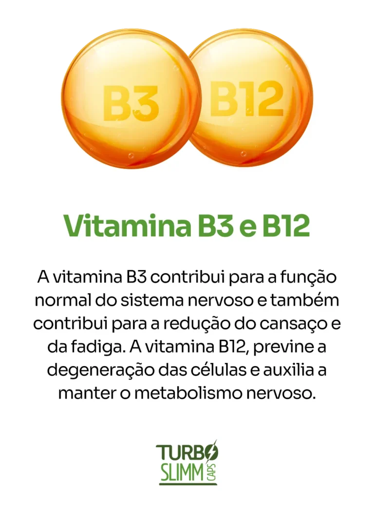 Vitamina-B12-e-B3.webp